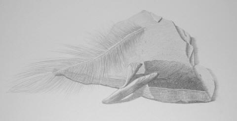 A pencil drawing of a feather, a rock and a piece of wood