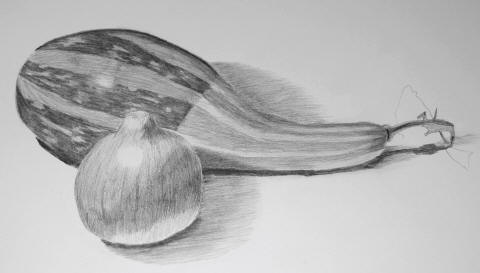 A shaded pencil drawing of a long striped gourd and a round gourd