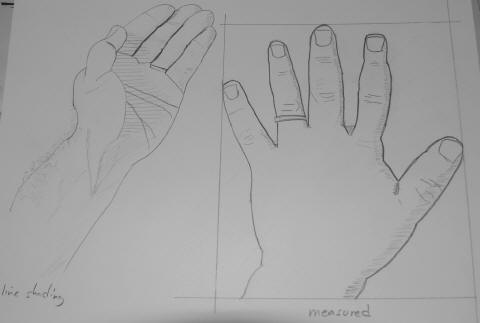 Pencil line drawings of an open hand, palm and back
