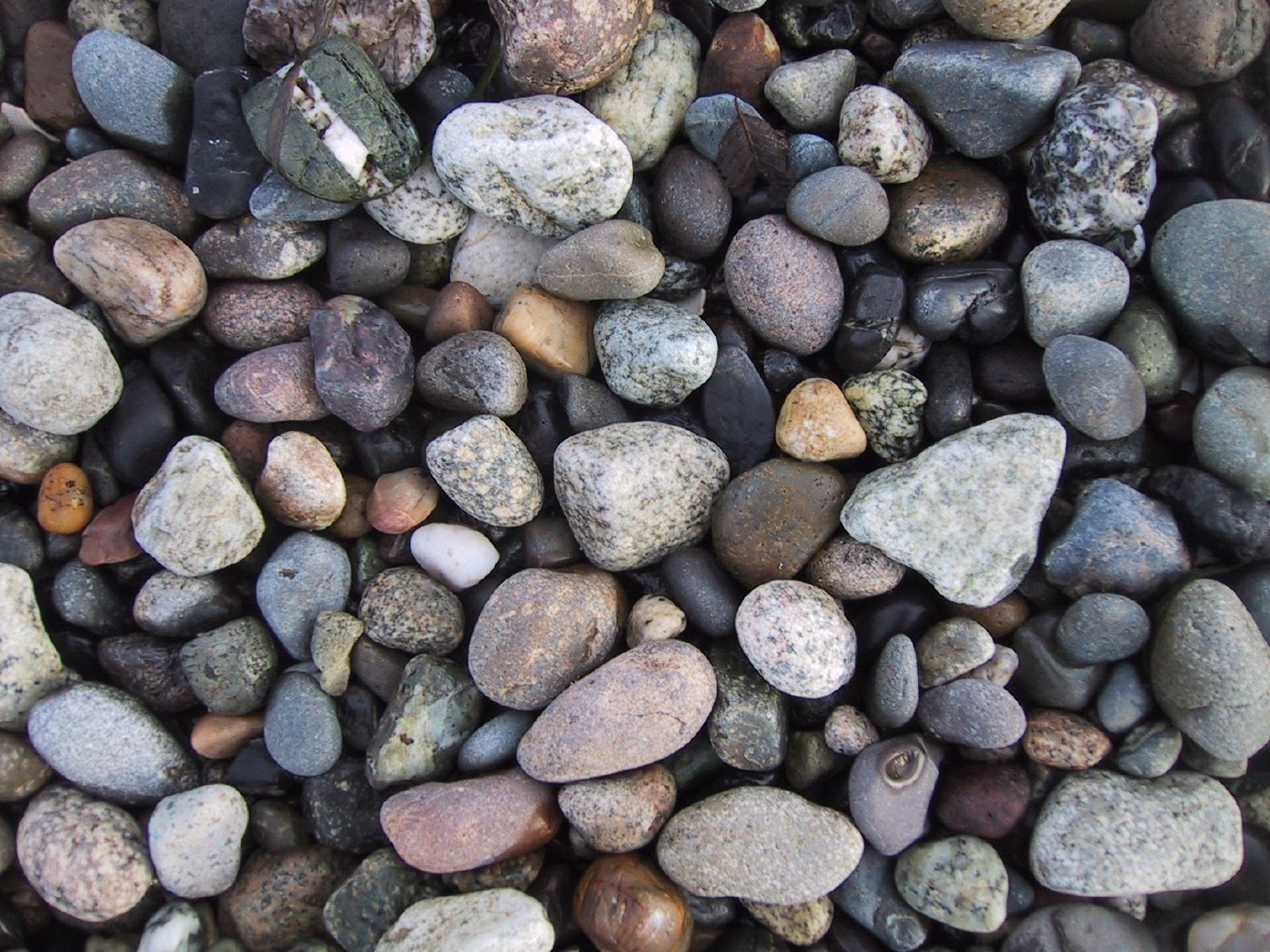 Rounded beach stones in grays, pinks and browns