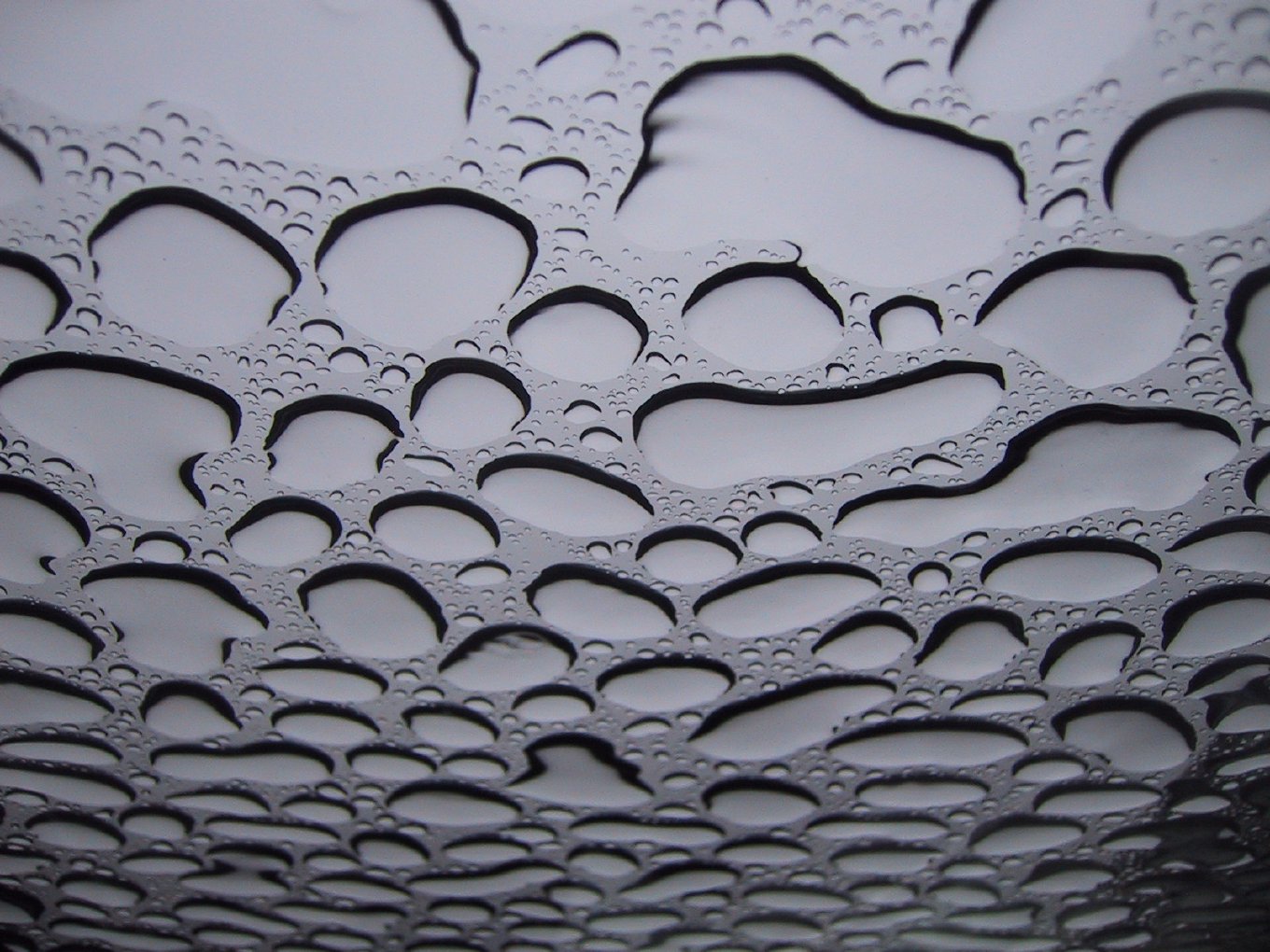 Large raindrops on glass, seen from below against a gray sky