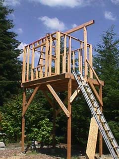 The wall frames standing on the raised platform, with a ladder leaning against it
