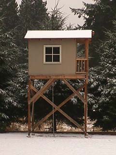 The finished platform house on its braced stilts, with a window and balcony