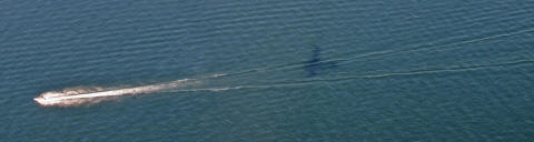 A speedboat's wake on the water, with the floatplane's shadow beside it